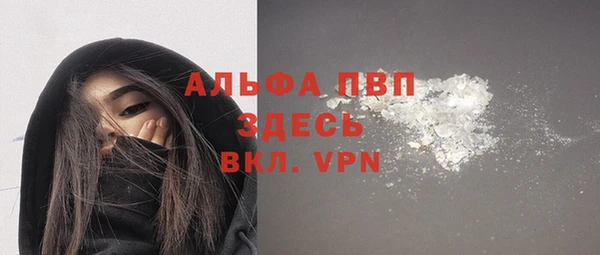 эйфоретик Бородино