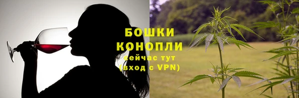 эйфоретик Бородино