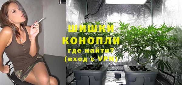 spice Верхний Тагил