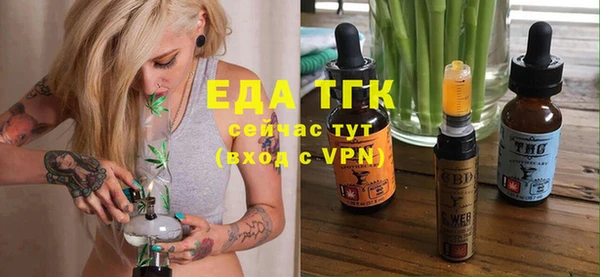 эйфоретик Бородино