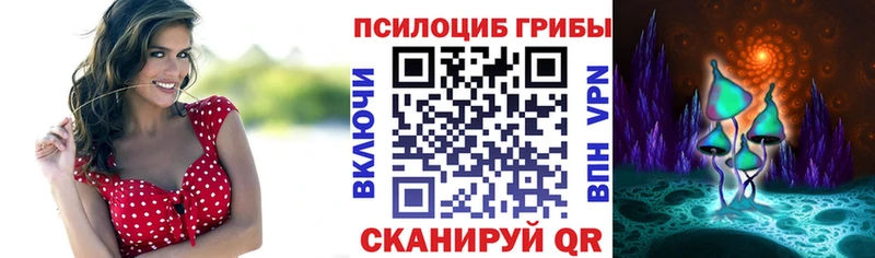OMG сайт  Карабулак  Галлюциногенные грибы Psilocybine cubensis 